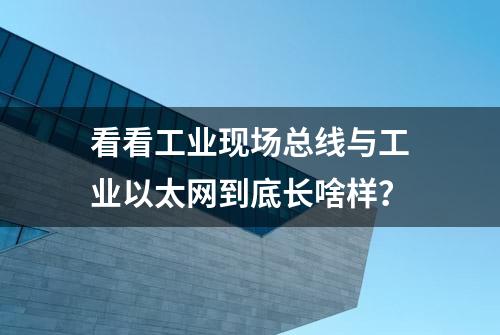 看看工业现场总线与工业以太网到底长啥样？