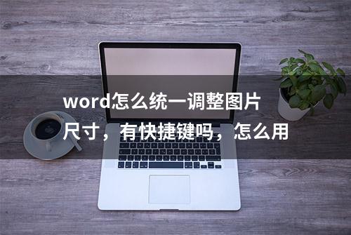 word怎么统一调整图片尺寸，有快捷键吗，怎么用