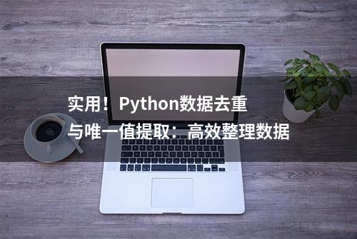 实用！Python数据去重与唯一值提取：高效整理数据