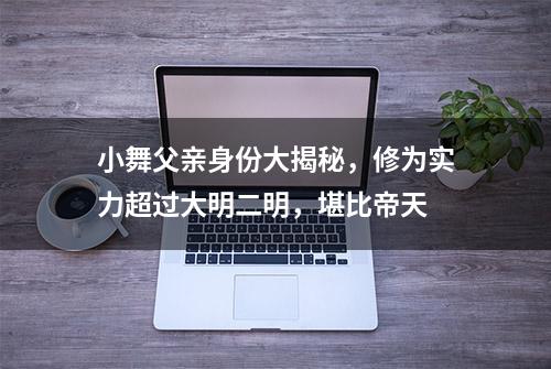 小舞父亲身份大揭秘，修为实力超过大明二明，堪比帝天