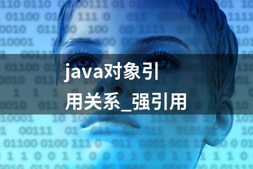 java对象引用关系_强引用