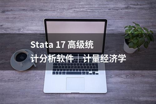 Stata 17 高级统计分析软件｜计量经济学