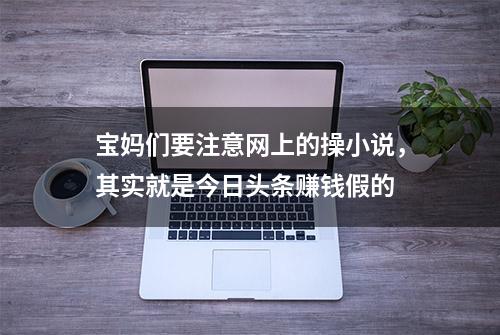 宝妈们要注意网上的操小说，其实就是今日头条赚钱假的