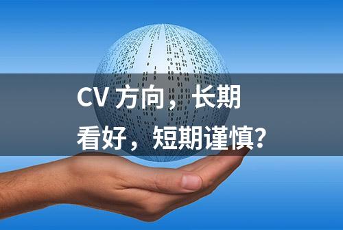 CV 方向，长期看好，短期谨慎？