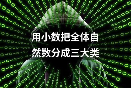 用小数把全体自然数分成三大类