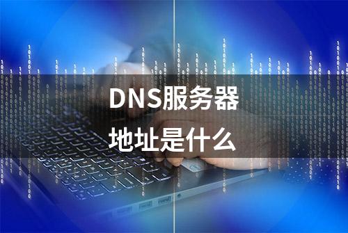 DNS服务器地址是什么