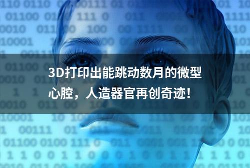 3D打印出能跳动数月的微型心腔，人造器官再创奇迹！