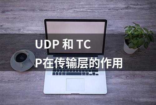 UDP 和 TCP在传输层的作用