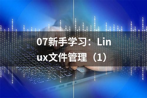 07新手学习：Linux文件管理（1）