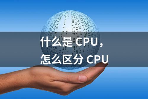 什么是 CPU，怎么区分 CPU