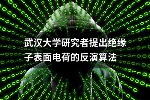 武汉大学研究者提出绝缘子表面电荷的反演算法