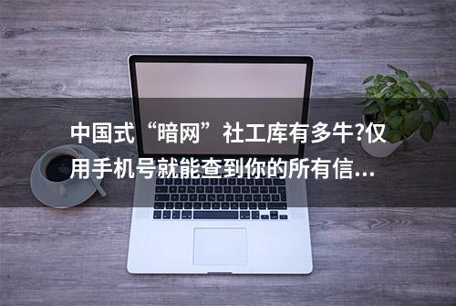 中国式“暗网”社工库有多牛?仅用手机号就能查到你的所有信息？