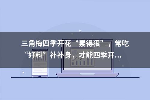 三角梅四季开花“累得狠”，常吃“好料”补补身，才能四季开不败