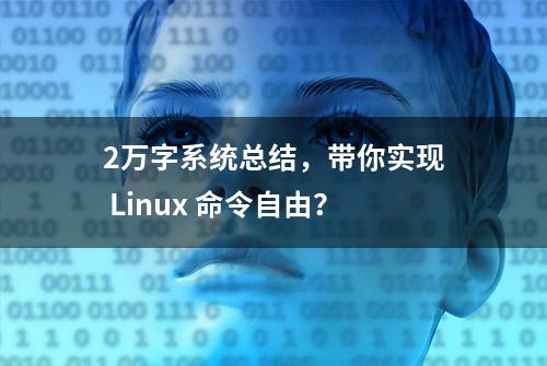 2万字系统总结，带你实现 Linux 命令自由？