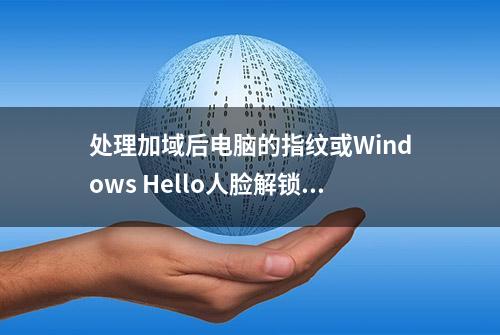 处理加域后电脑的指纹或Windows Hello人脸解锁不可用的问题