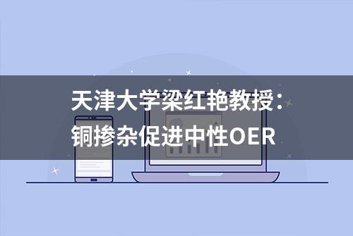 天津大学梁红艳教授：铜掺杂促进中性OER