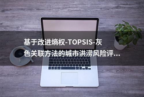 基于改进熵权-TOPSIS-灰色关联方法的城市洪涝风险评估