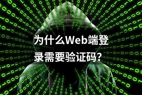 为什么Web端登录需要验证码？