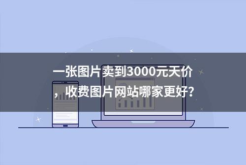 一张图片卖到3000元天价，收费图片网站哪家更好？