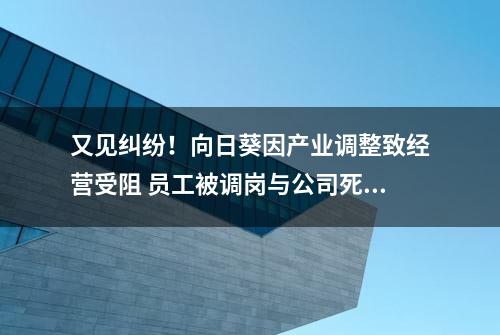 又见纠纷！向日葵因产业调整致经营受阻 员工被调岗与公司死磕