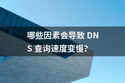 哪些因素会导致 DNS 查询速度变慢？