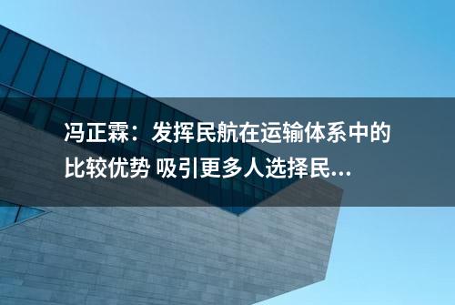 冯正霖：发挥民航在运输体系中的比较优势 吸引更多人选择民航出行