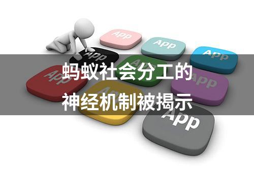 蚂蚁社会分工的神经机制被揭示