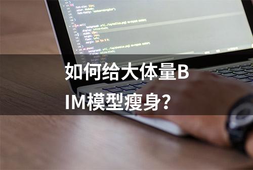 如何给大体量BIM模型瘦身？