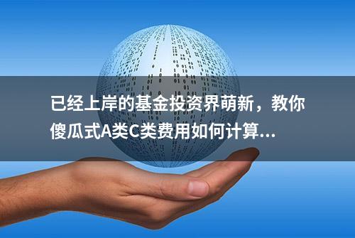 已经上岸的基金投资界萌新，教你傻瓜式A类C类费用如何计算？