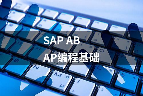 SAP ABAP编程基础