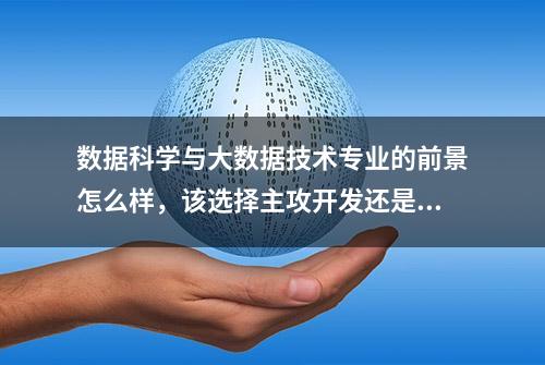 数据科学与大数据技术专业的前景怎么样，该选择主攻开发还是算法