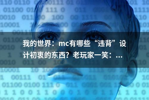 我的世界：mc有哪些“违背”设计初衷的东西？老玩家一笑：末地烛