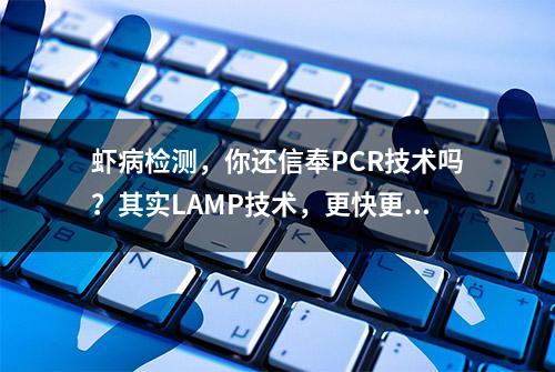 虾病检测，你还信奉PCR技术吗？其实LAMP技术，更快更方便