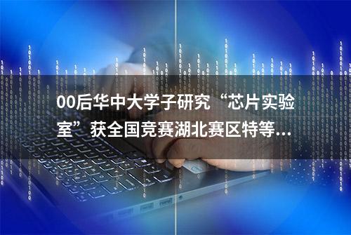 00后华中大学子研究“芯片实验室”获全国竞赛湖北赛区特等奖