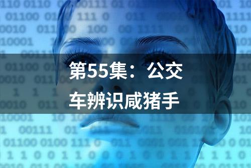 第55集：公交车辨识咸猪手