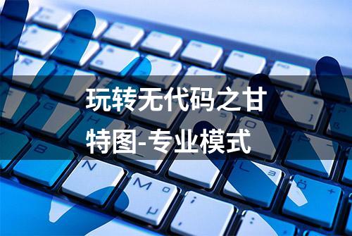 玩转无代码之甘特图-专业模式