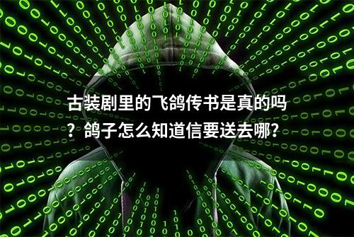 古装剧里的飞鸽传书是真的吗？鸽子怎么知道信要送去哪？