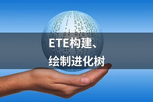 ETE构建、绘制进化树