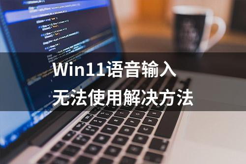 Win11语音输入无法使用解决方法