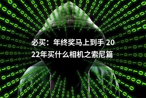 必买：年终奖马上到手 2022年买什么相机之索尼篇