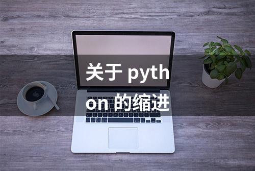 关于 python 的缩进