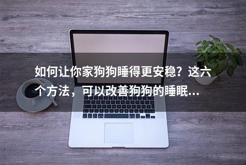 如何让你家狗狗睡得更安稳？这六个方法，可以改善狗狗的睡眠质量