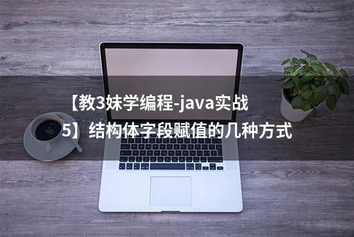 【教3妹学编程-java实战5】结构体字段赋值的几种方式