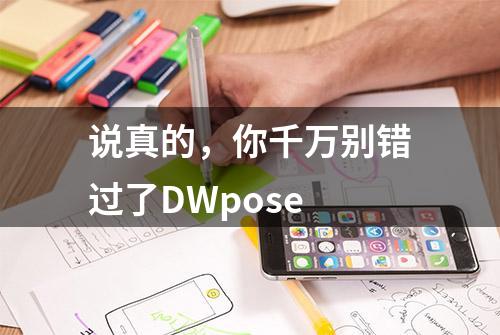 说真的，你千万别错过了DWpose