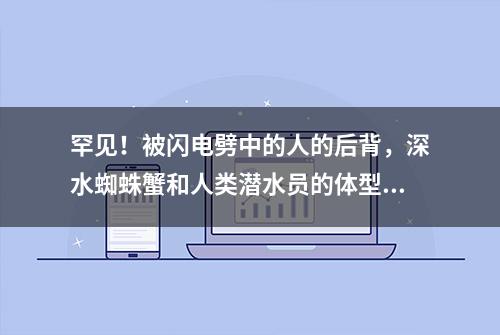 罕见！被闪电劈中的人的后背，深水蜘蛛蟹和人类潜水员的体型对比