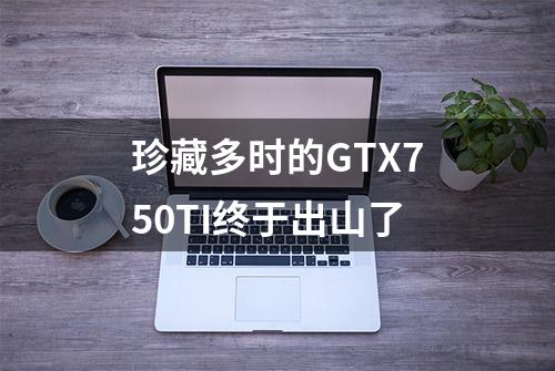 珍藏多时的GTX750TI终于出山了