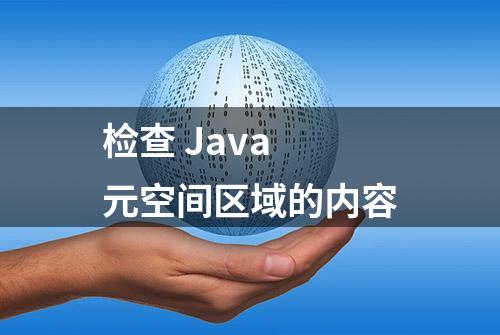 检查 Java 元空间区域的内容