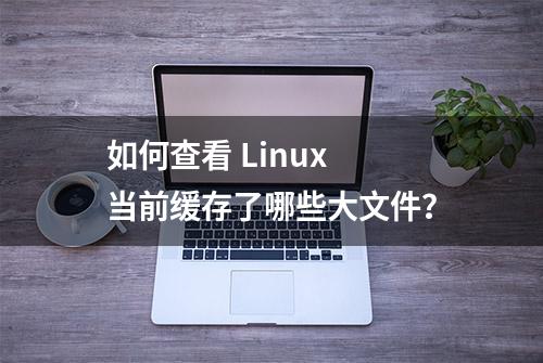 如何查看 Linux 当前缓存了哪些大文件？