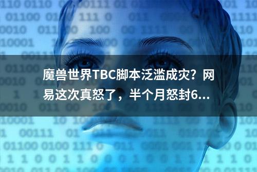 魔兽世界TBC脚本泛滥成灾？网易这次真怒了，半个月怒封6万人