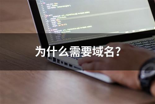 为什么需要域名？